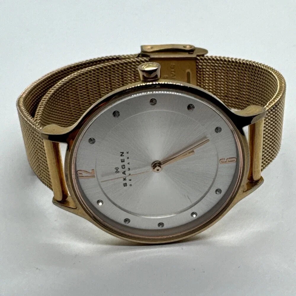 Skagen SKW2151 Womens Stainless Steel Mesh Analog Dial Quartz Wrist Watch AEA290
